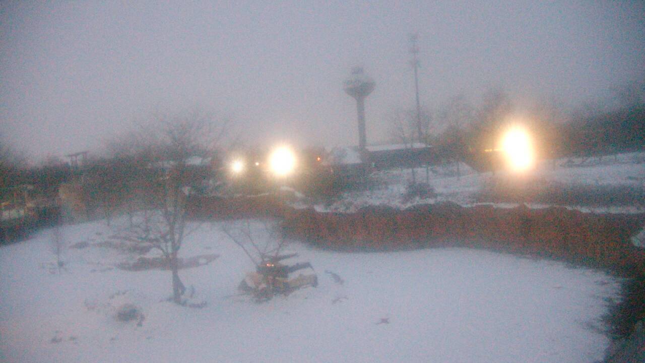 Thumbnail for current weather camera view from Columbus Zoo and Aquarium in Powell, Ohio