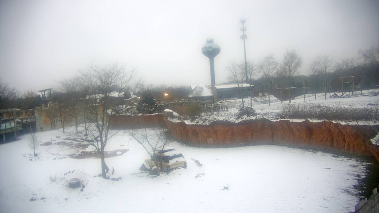 Thumbnail for current weather camera view from Columbus Zoo and Aquarium in Powell, Ohio