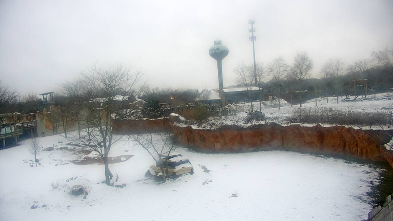 Thumbnail for current weather camera view from Columbus Zoo and Aquarium in Powell, Ohio