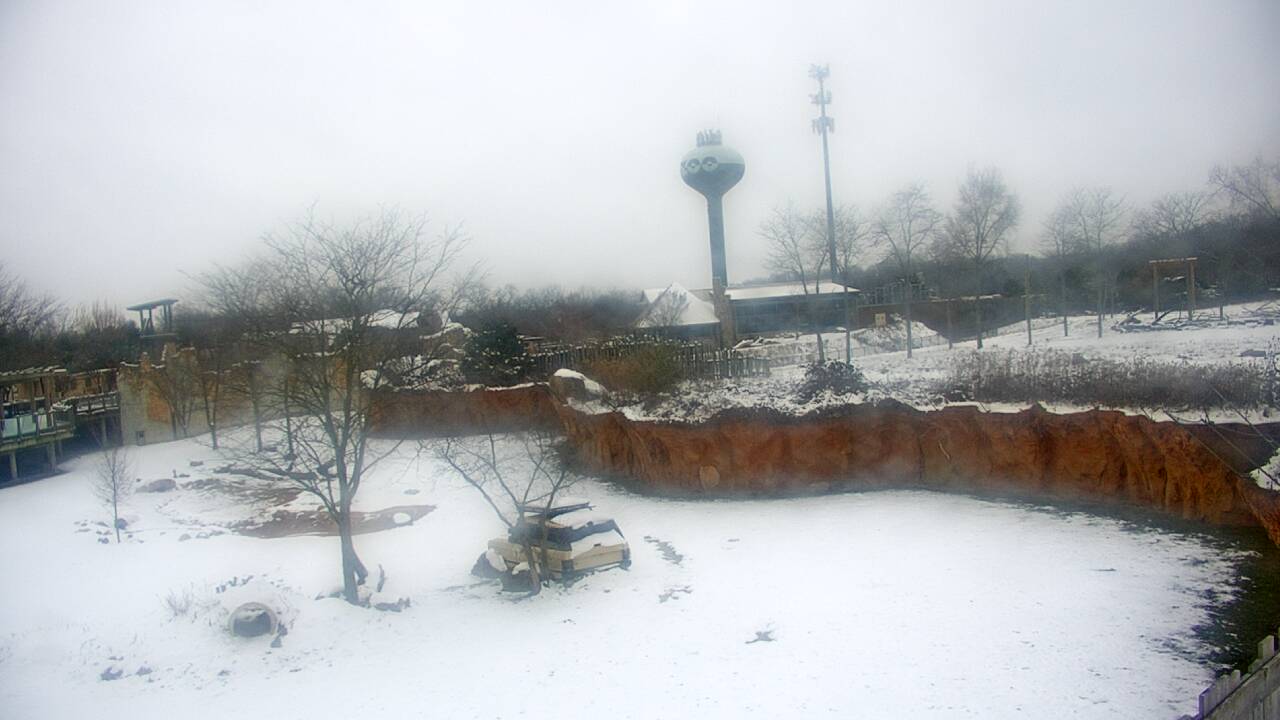 Thumbnail for current weather camera view from Columbus Zoo and Aquarium in Powell, Ohio
