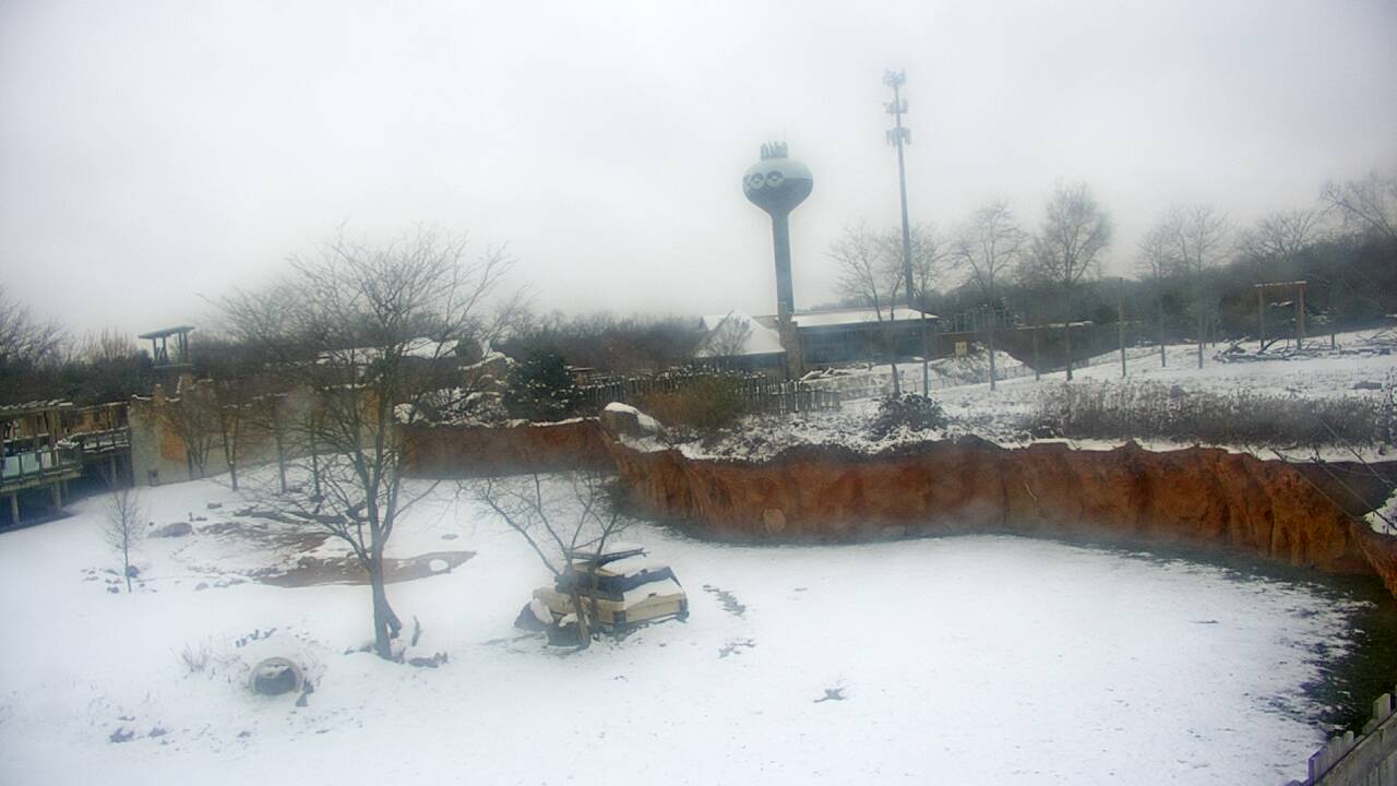 Thumbnail for current weather camera view from Columbus Zoo and Aquarium in Powell, Ohio