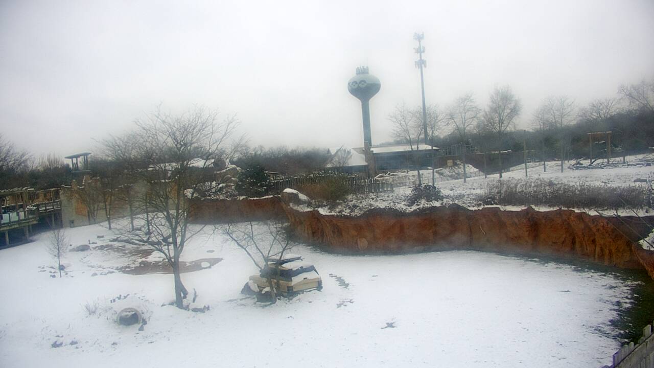 Thumbnail for current weather camera view from Columbus Zoo and Aquarium in Powell, Ohio