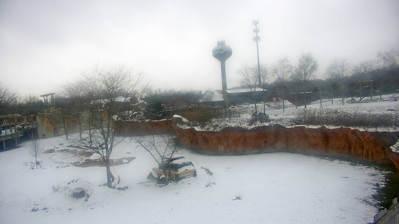 Thumbnail for current weather camera view from Columbus Zoo and Aquarium in Powell, Ohio