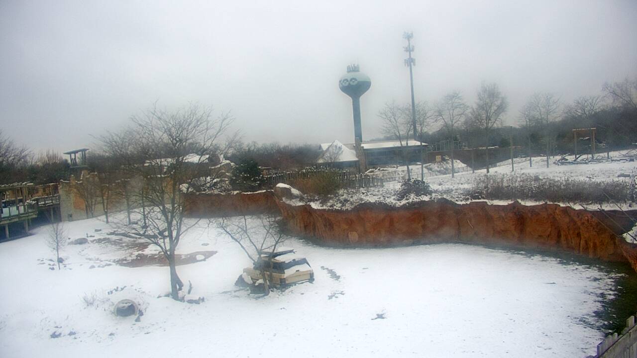 Thumbnail for current weather camera view from Columbus Zoo and Aquarium in Powell, Ohio