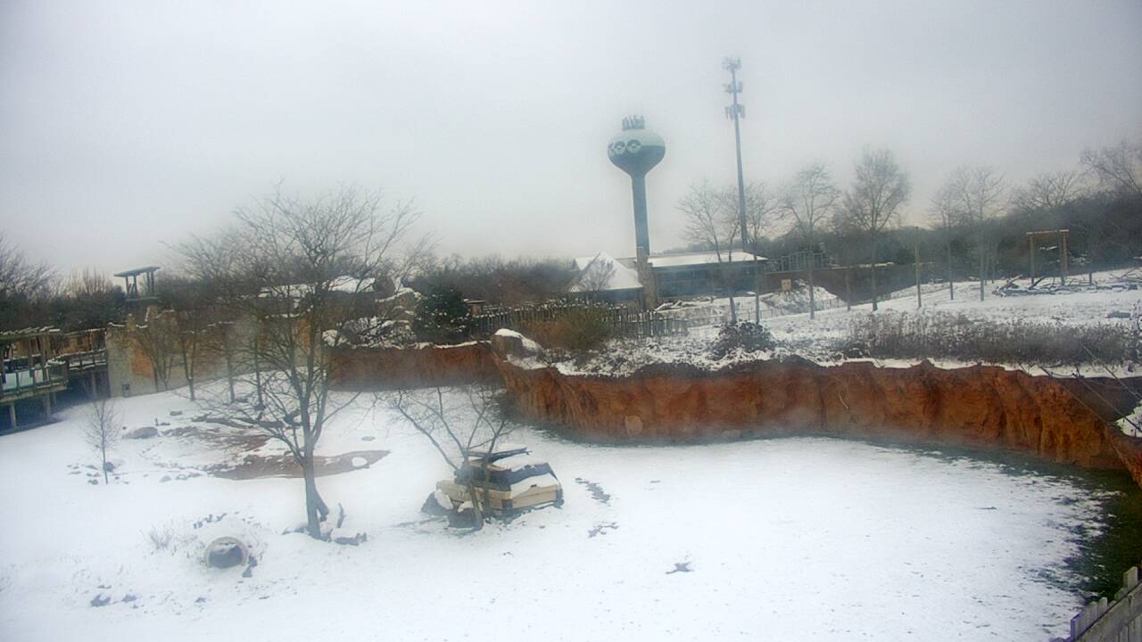 Thumbnail for current weather camera view from Columbus Zoo and Aquarium in Powell, Ohio