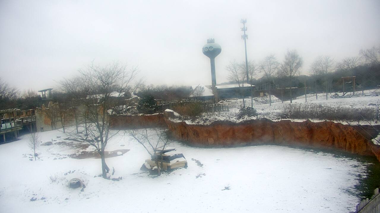 Thumbnail for current weather camera view from Columbus Zoo and Aquarium in Powell, Ohio