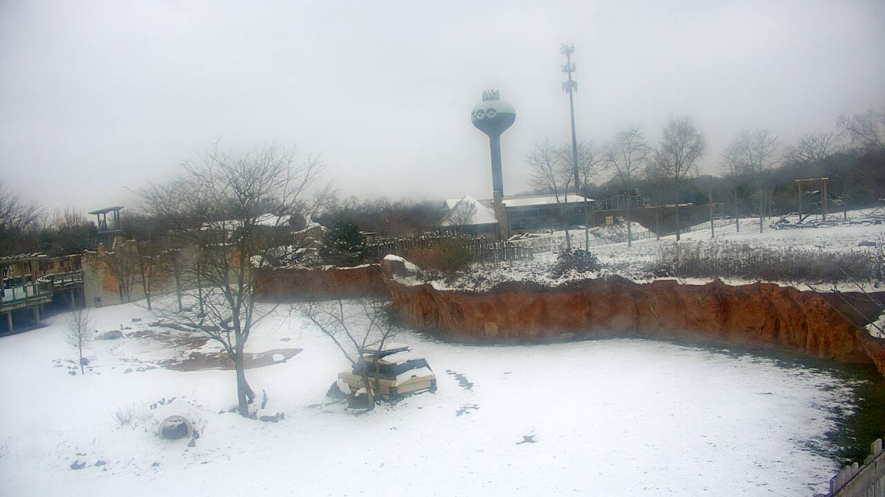 Thumbnail for current weather camera view from Columbus Zoo and Aquarium in Powell, Ohio
