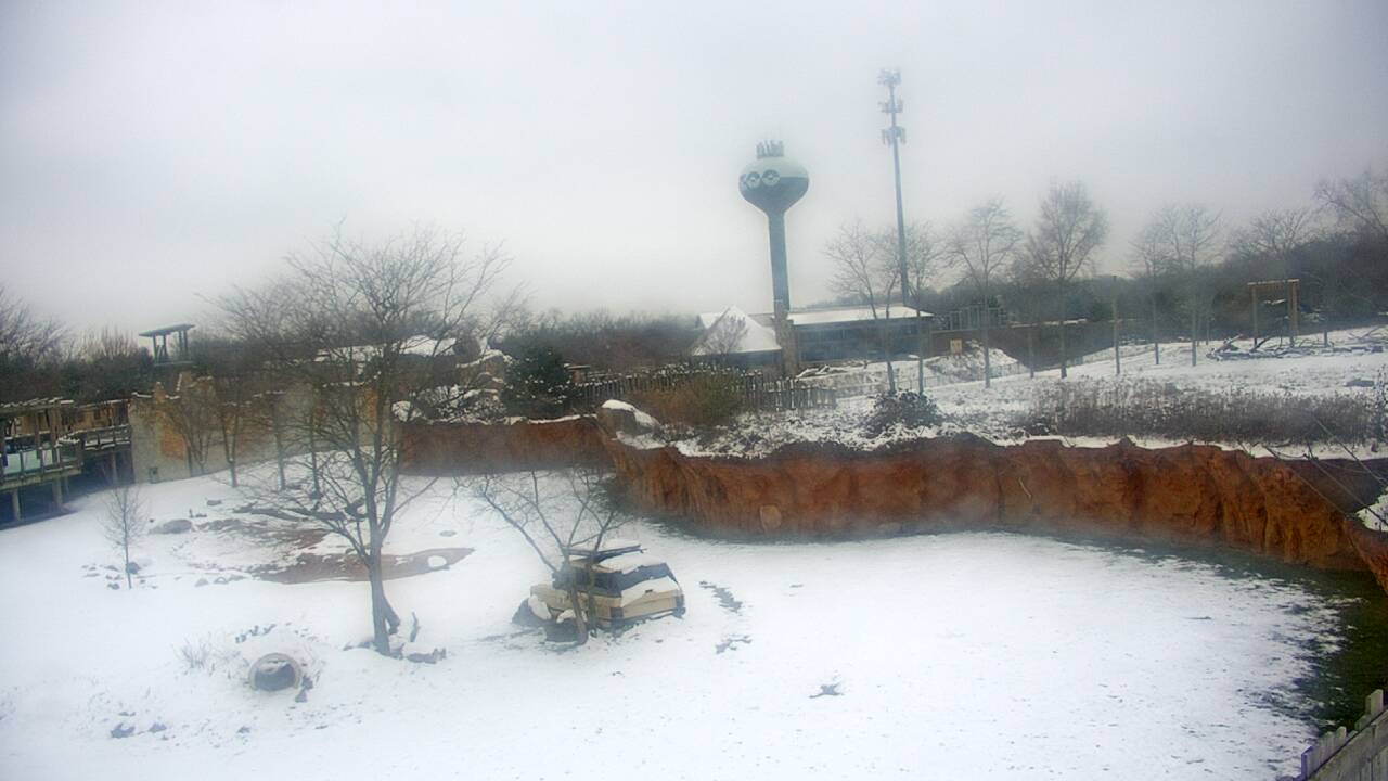 Thumbnail for current weather camera view from Columbus Zoo and Aquarium in Powell, Ohio