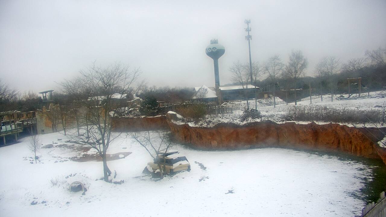 Thumbnail for current weather camera view from Columbus Zoo and Aquarium in Powell, Ohio