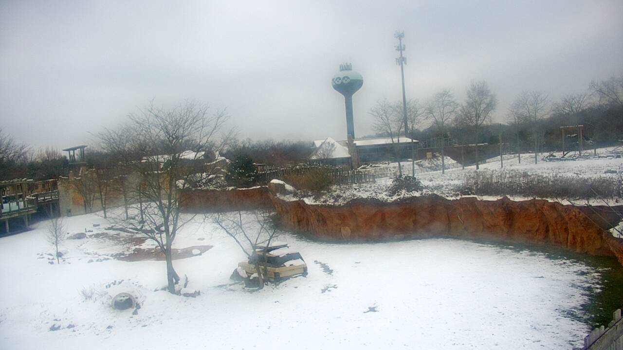 Thumbnail for current weather camera view from Columbus Zoo and Aquarium in Powell, Ohio