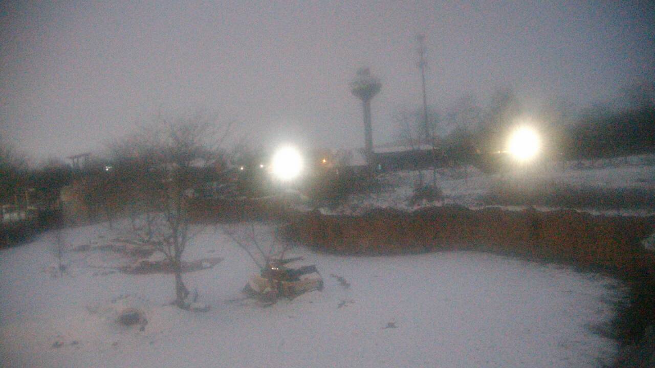 Thumbnail for current weather camera view from Columbus Zoo and Aquarium in Powell, Ohio