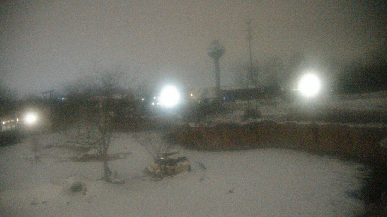 Thumbnail for current weather camera view from Columbus Zoo and Aquarium in Powell, Ohio