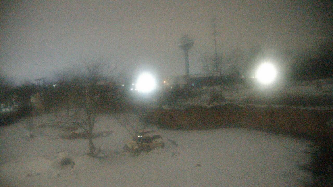 Thumbnail for current weather camera view from Columbus Zoo and Aquarium in Powell, Ohio