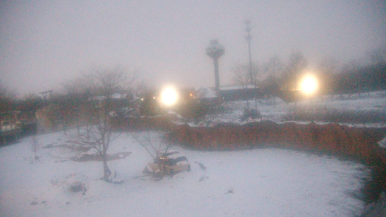 Thumbnail for current weather camera view from Columbus Zoo and Aquarium in Powell, Ohio