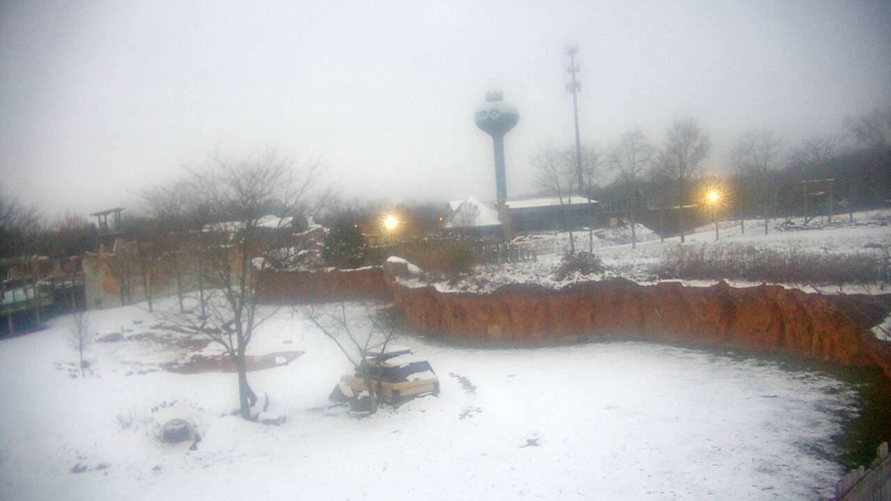 Thumbnail for current weather camera view from Columbus Zoo and Aquarium in Powell, Ohio