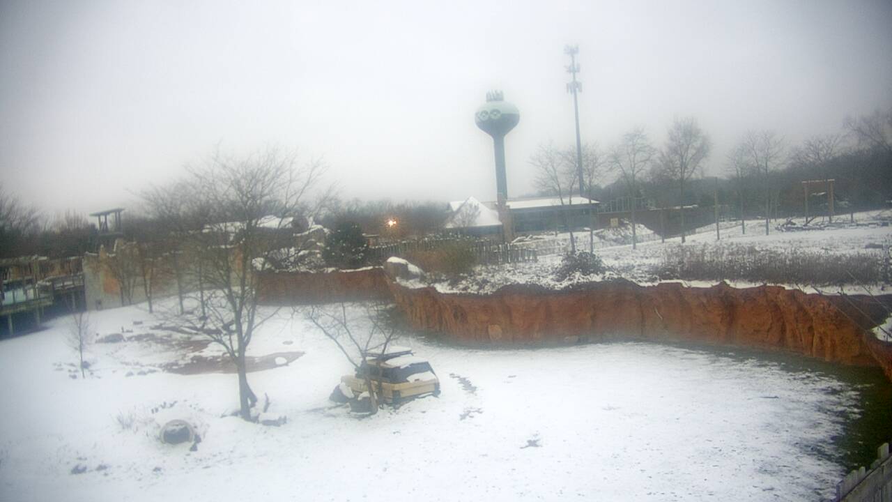 Thumbnail for current weather camera view from Columbus Zoo and Aquarium in Powell, Ohio
