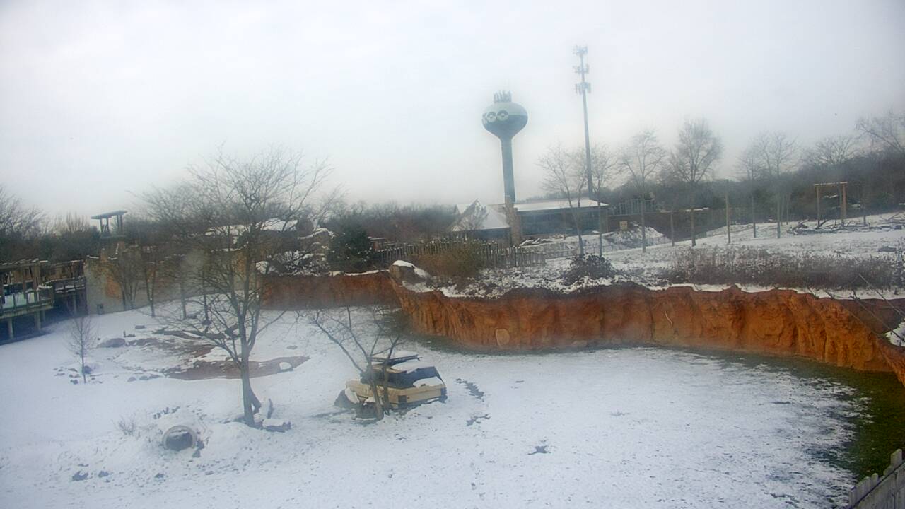 Thumbnail for current weather camera view from Columbus Zoo and Aquarium in Powell, Ohio