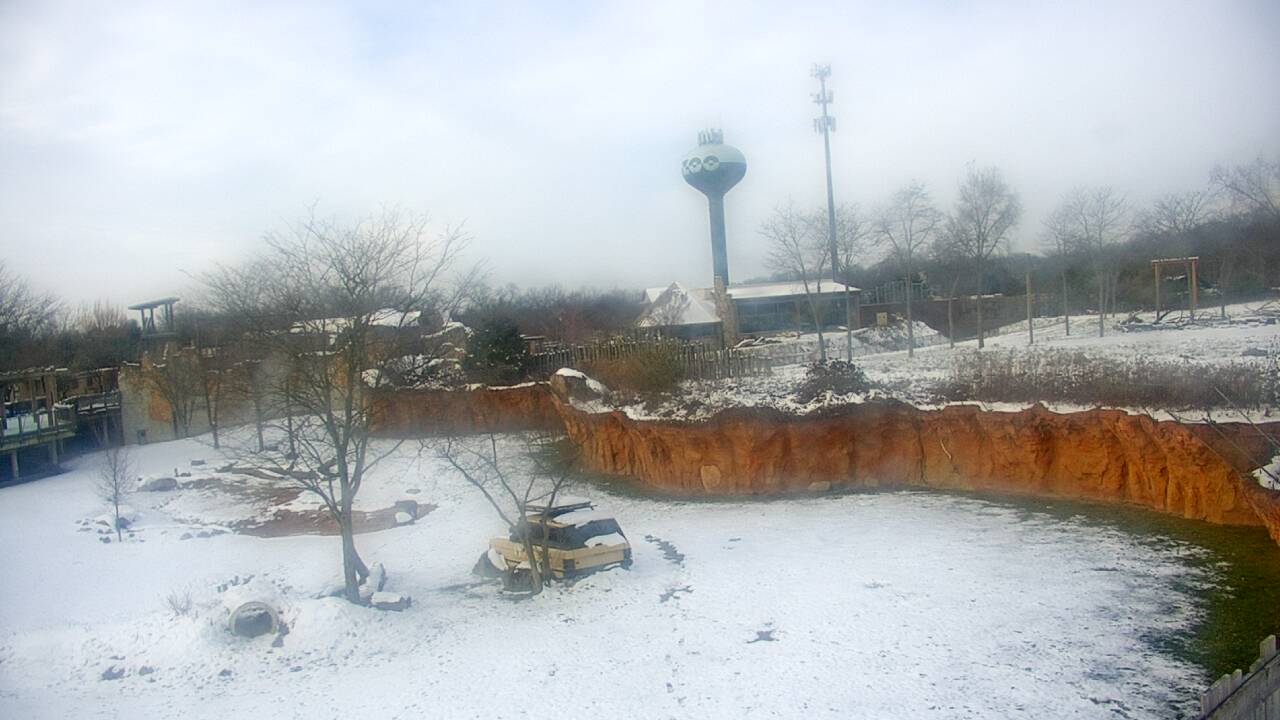 Thumbnail for current weather camera view from Columbus Zoo and Aquarium in Powell, Ohio