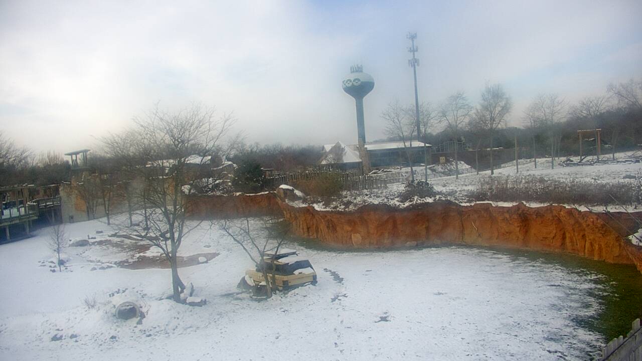 Thumbnail for current weather camera view from Columbus Zoo and Aquarium in Powell, Ohio