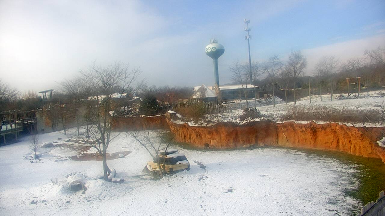 Thumbnail for current weather camera view from Columbus Zoo and Aquarium in Powell, Ohio