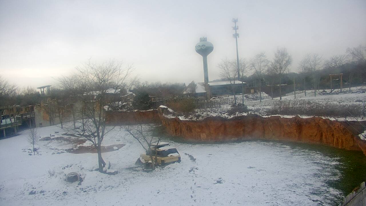 Thumbnail for current weather camera view from Columbus Zoo and Aquarium in Powell, Ohio