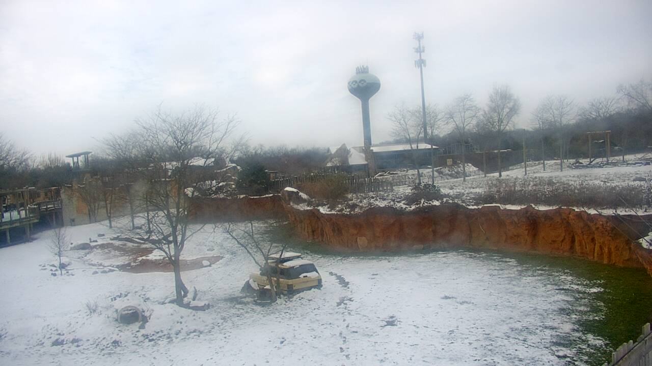 Thumbnail for current weather camera view from Columbus Zoo and Aquarium in Powell, Ohio