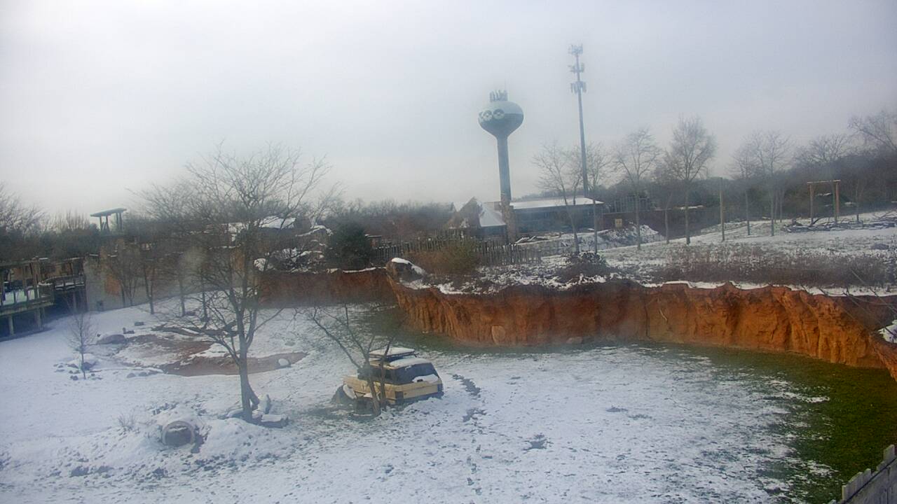 Thumbnail for current weather camera view from Columbus Zoo and Aquarium in Powell, Ohio