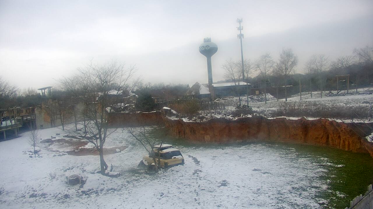 Thumbnail for current weather camera view from Columbus Zoo and Aquarium in Powell, Ohio