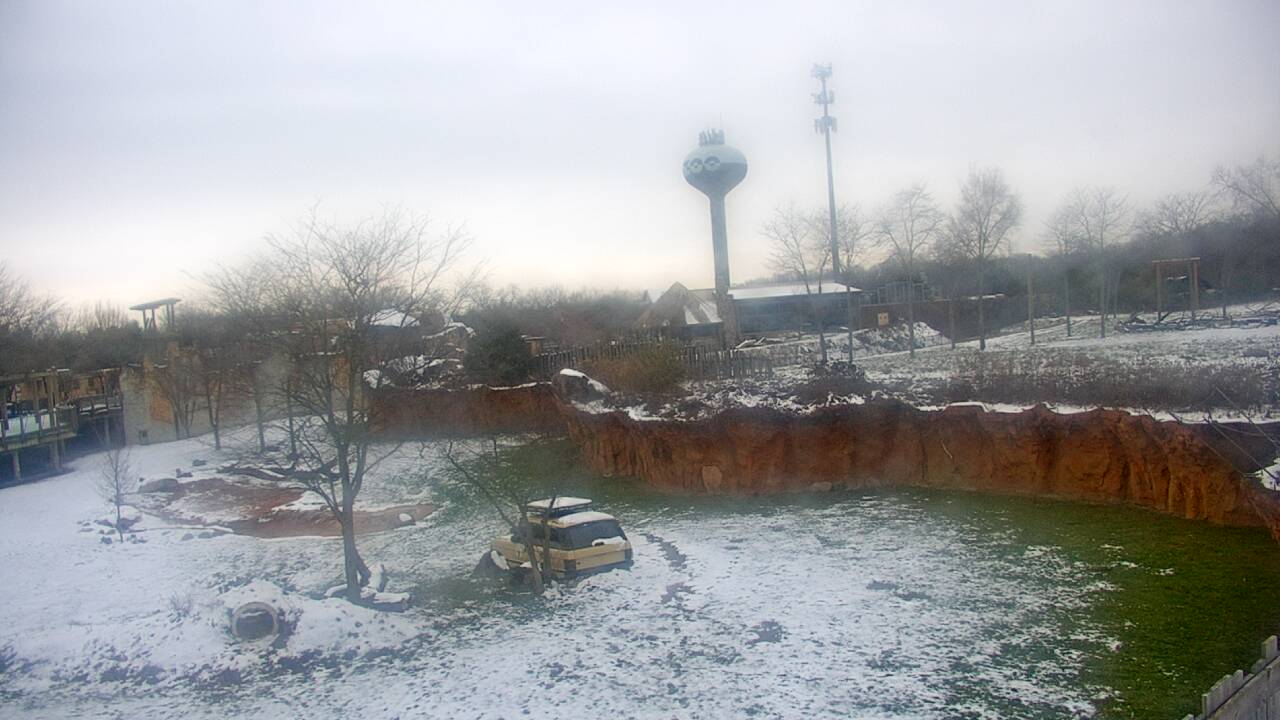 Thumbnail for current weather camera view from Columbus Zoo and Aquarium in Powell, Ohio