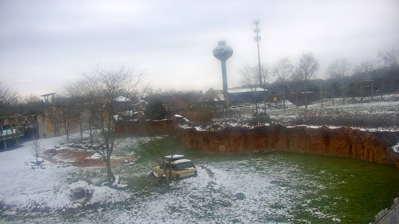 Thumbnail for current weather camera view from Columbus Zoo and Aquarium in Powell, Ohio