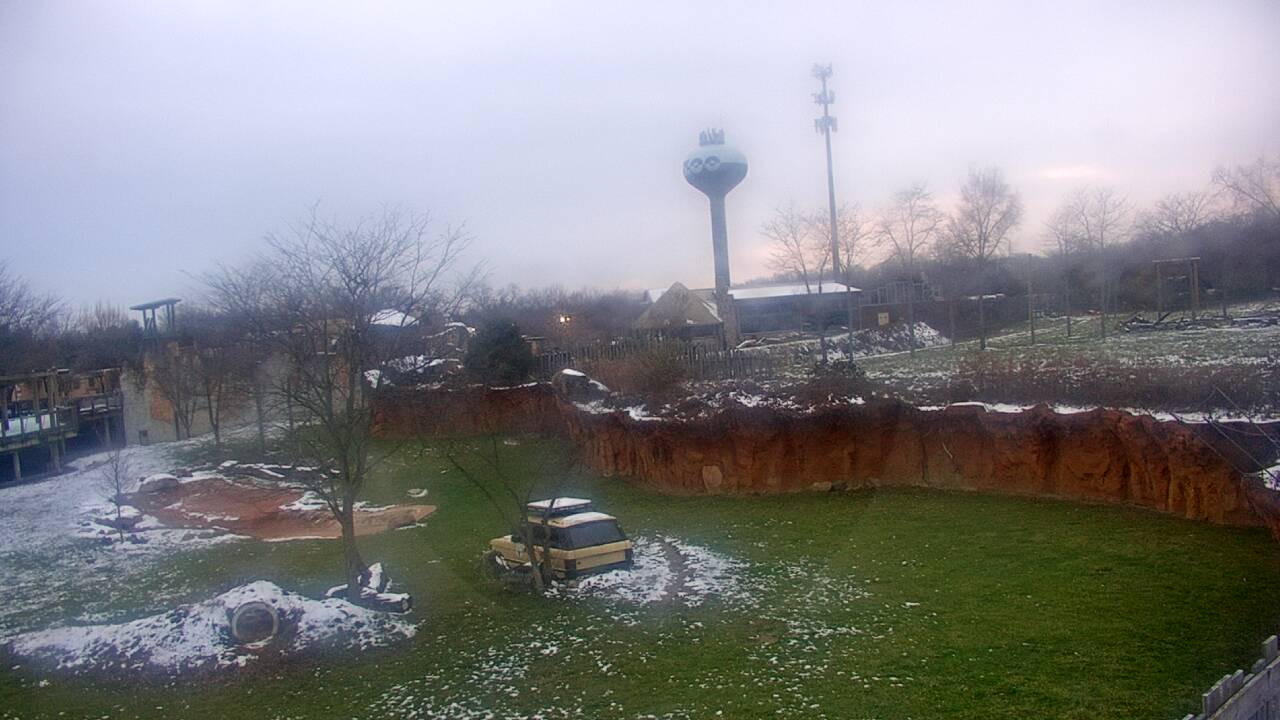 Thumbnail for current weather camera view from Columbus Zoo and Aquarium in Powell, Ohio