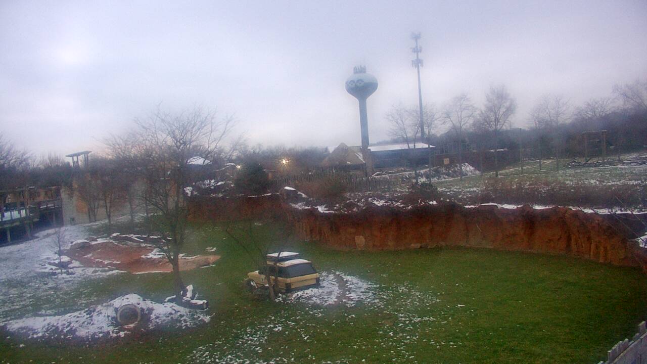 Thumbnail for current weather camera view from Columbus Zoo and Aquarium in Powell, Ohio