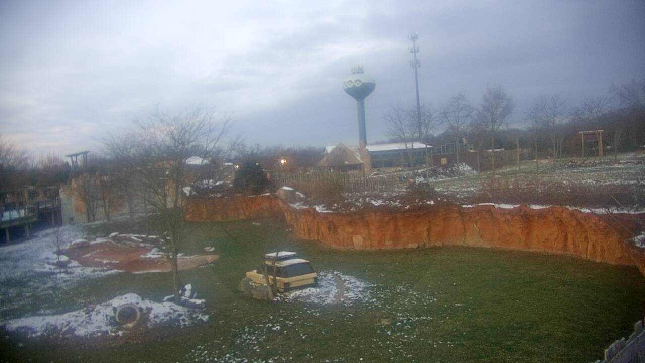 Thumbnail for current weather camera view from Columbus Zoo and Aquarium in Powell, Ohio