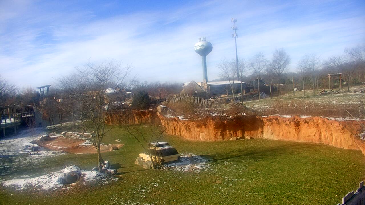 Thumbnail for current weather camera view from Columbus Zoo and Aquarium in Powell, Ohio