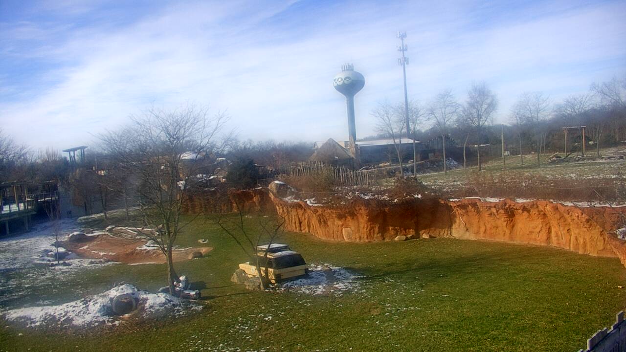 Thumbnail for current weather camera view from Columbus Zoo and Aquarium in Powell, Ohio