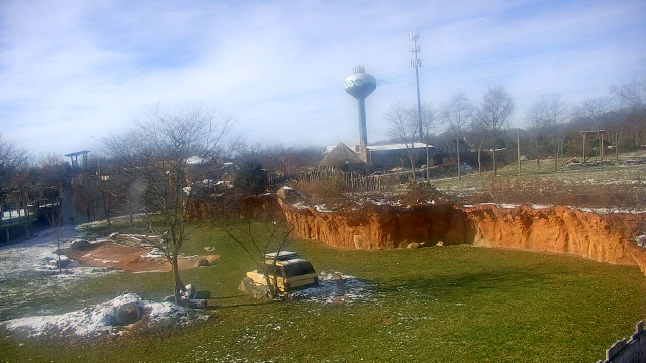 Thumbnail for current weather camera view from Columbus Zoo and Aquarium in Powell, Ohio