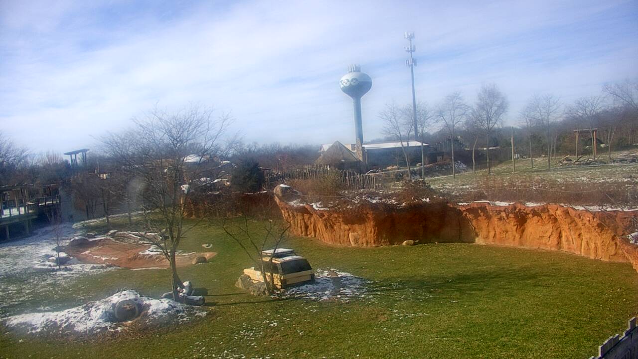 Thumbnail for current weather camera view from Columbus Zoo and Aquarium in Powell, Ohio