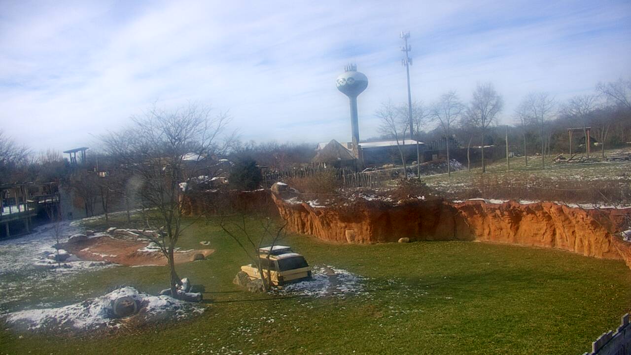 Thumbnail for current weather camera view from Columbus Zoo and Aquarium in Powell, Ohio