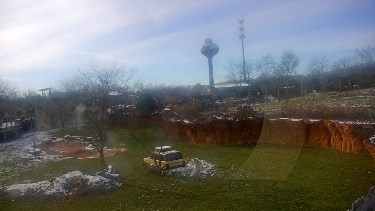 Thumbnail for current weather camera view from Columbus Zoo and Aquarium in Powell, Ohio