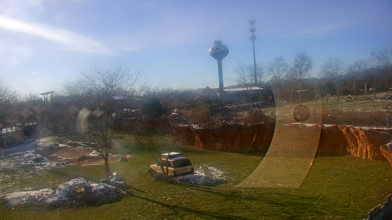 Thumbnail for current weather camera view from Columbus Zoo and Aquarium in Powell, Ohio