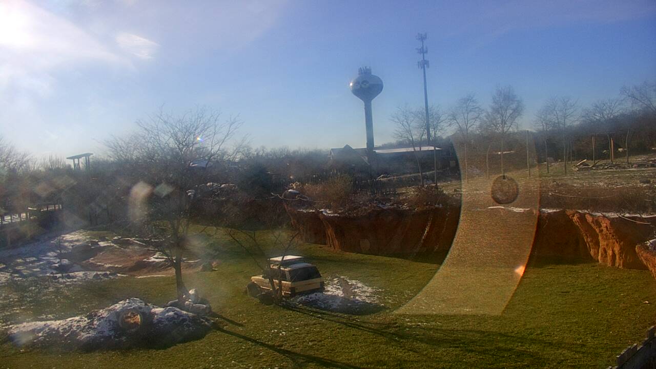 Thumbnail for current weather camera view from Columbus Zoo and Aquarium in Powell, Ohio