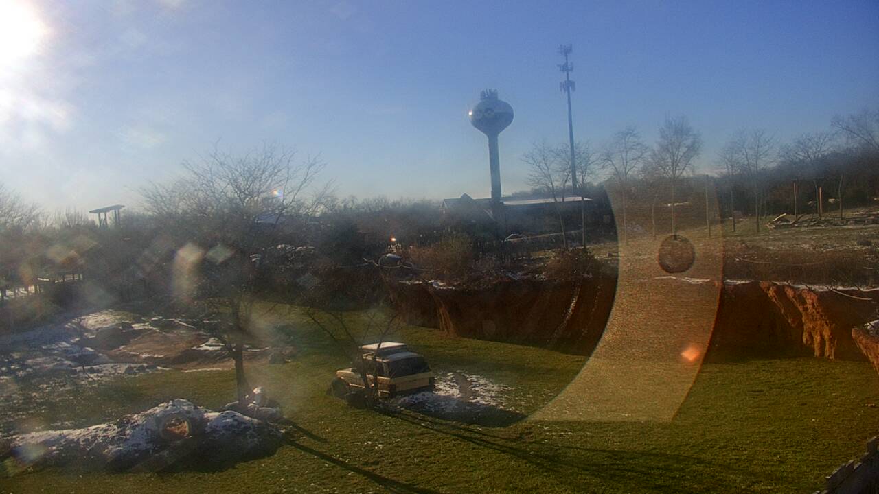 Thumbnail for current weather camera view from Columbus Zoo and Aquarium in Powell, Ohio