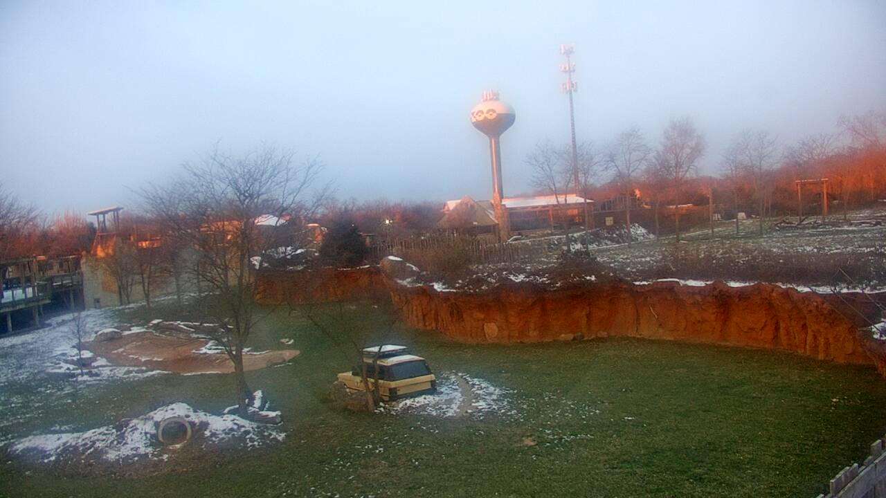 Thumbnail for current weather camera view from Columbus Zoo and Aquarium in Powell, Ohio