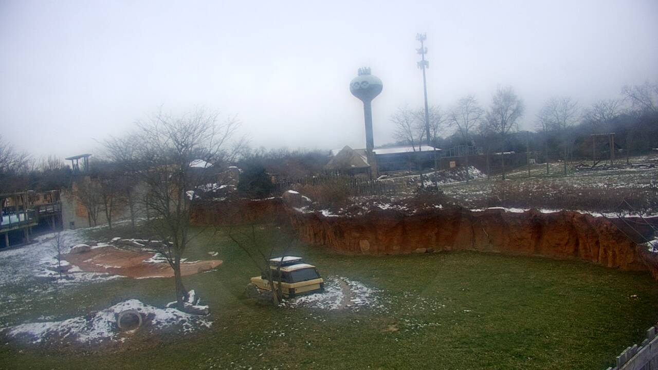 Thumbnail for current weather camera view from Columbus Zoo and Aquarium in Powell, Ohio