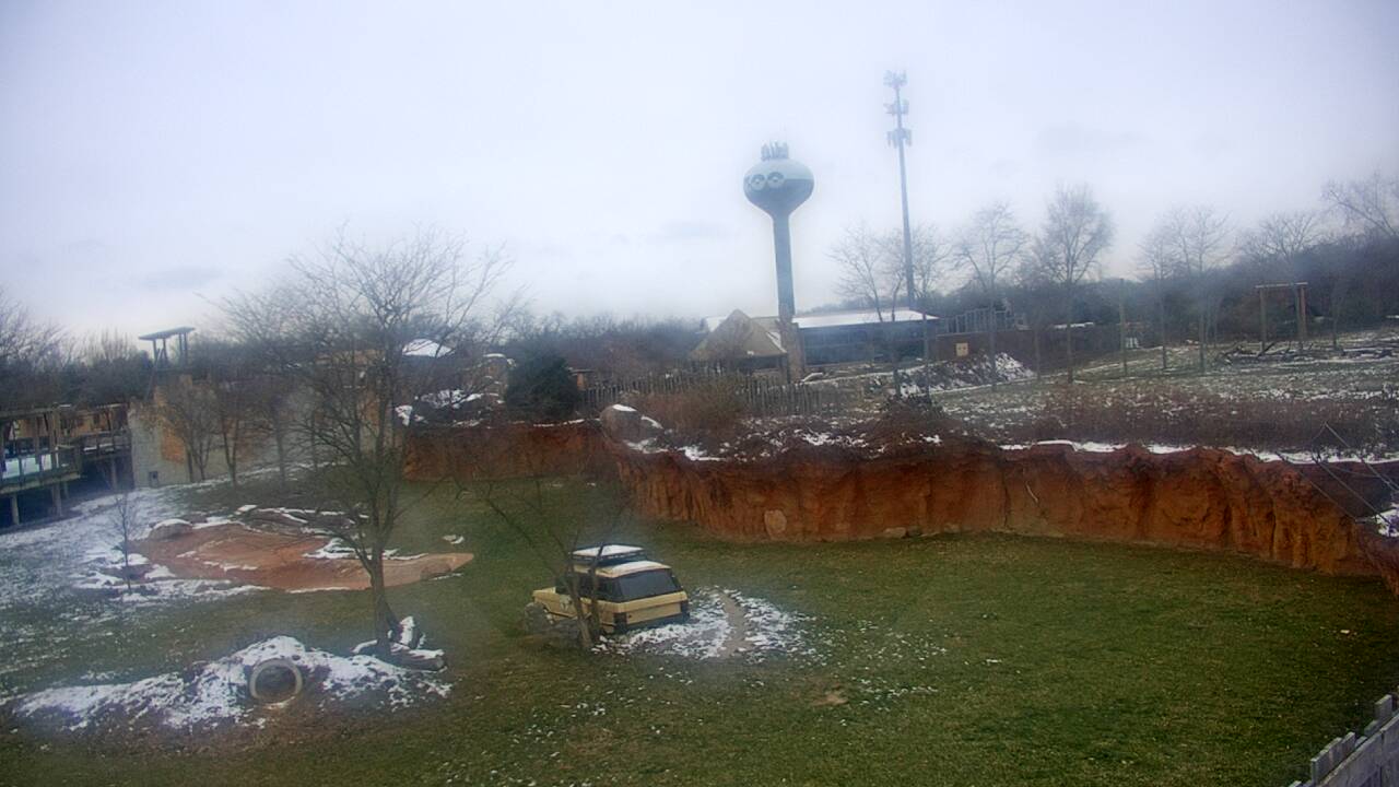 Thumbnail for current weather camera view from Columbus Zoo and Aquarium in Powell, Ohio