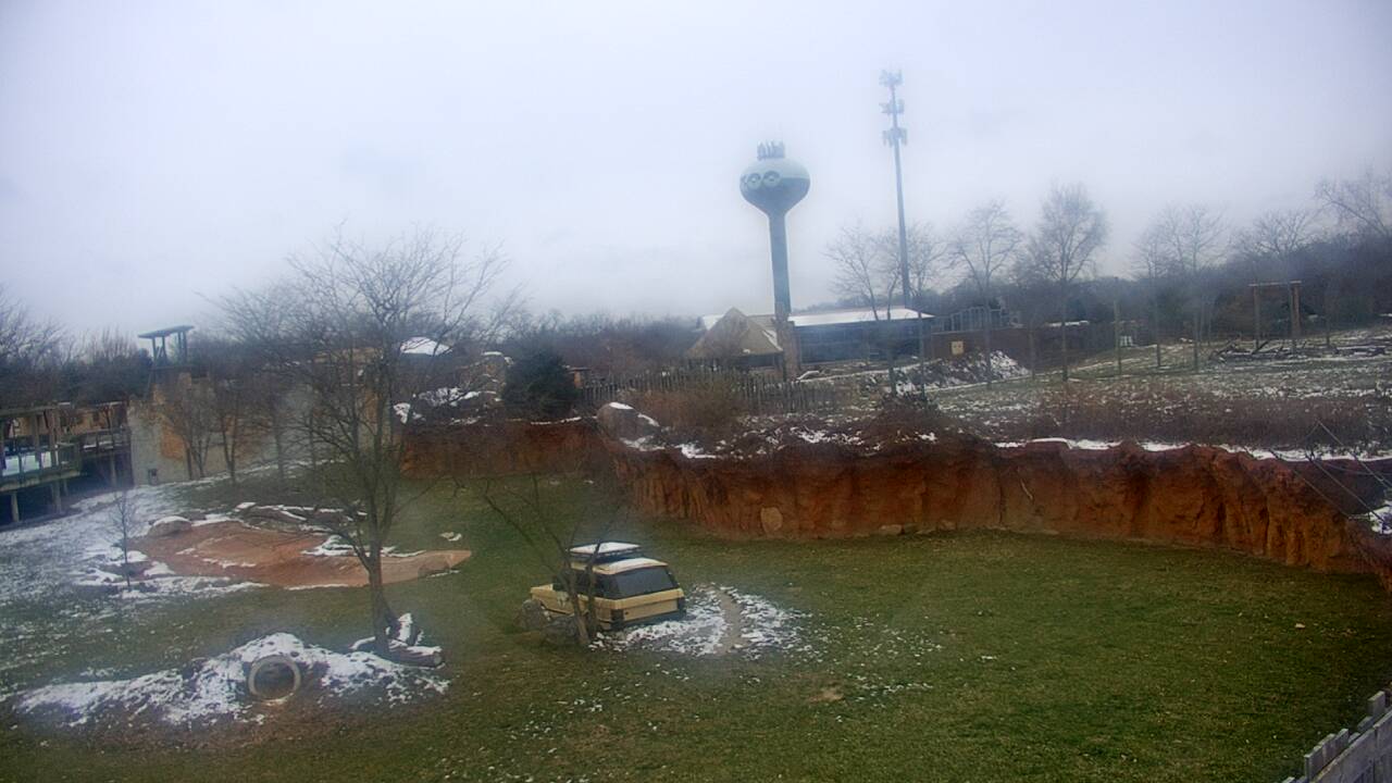 Thumbnail for current weather camera view from Columbus Zoo and Aquarium in Powell, Ohio