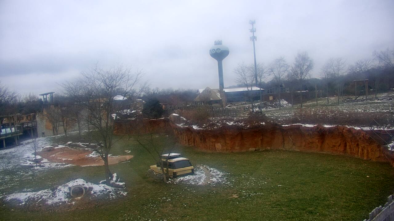 Thumbnail for current weather camera view from Columbus Zoo and Aquarium in Powell, Ohio