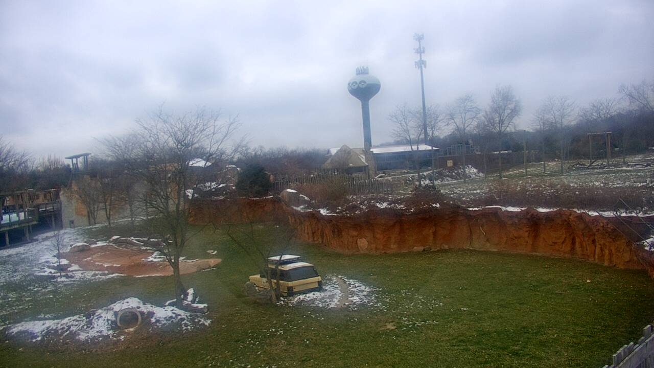 Thumbnail for current weather camera view from Columbus Zoo and Aquarium in Powell, Ohio