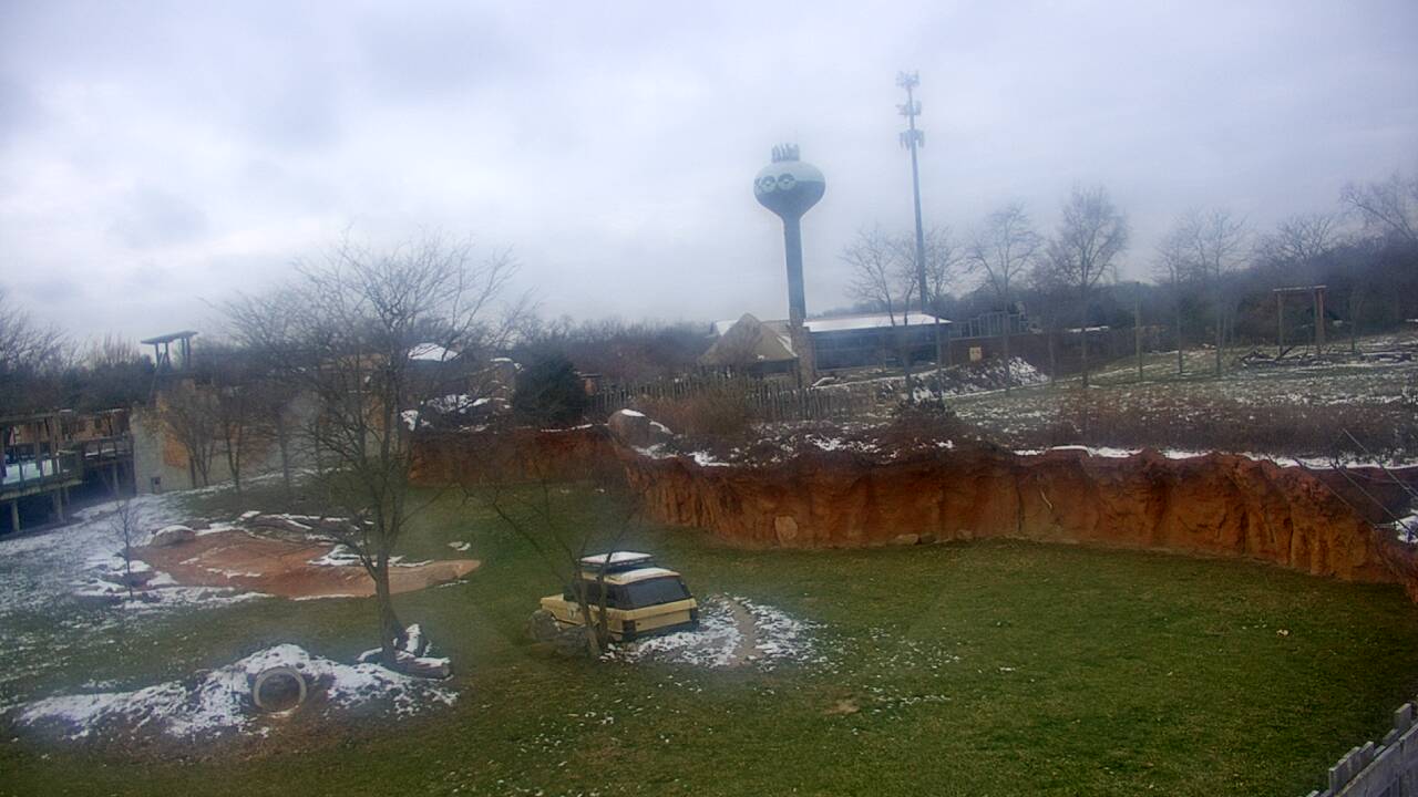 Thumbnail for current weather camera view from Columbus Zoo and Aquarium in Powell, Ohio