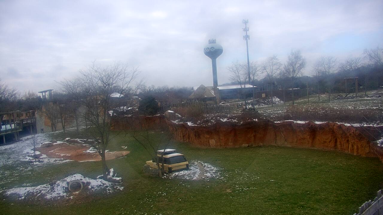 Thumbnail for current weather camera view from Columbus Zoo and Aquarium in Powell, Ohio